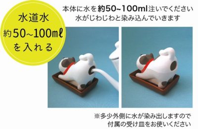 画像1: デコレ　コンコンブル　しっとり壺　ごきげん　ハチワレ